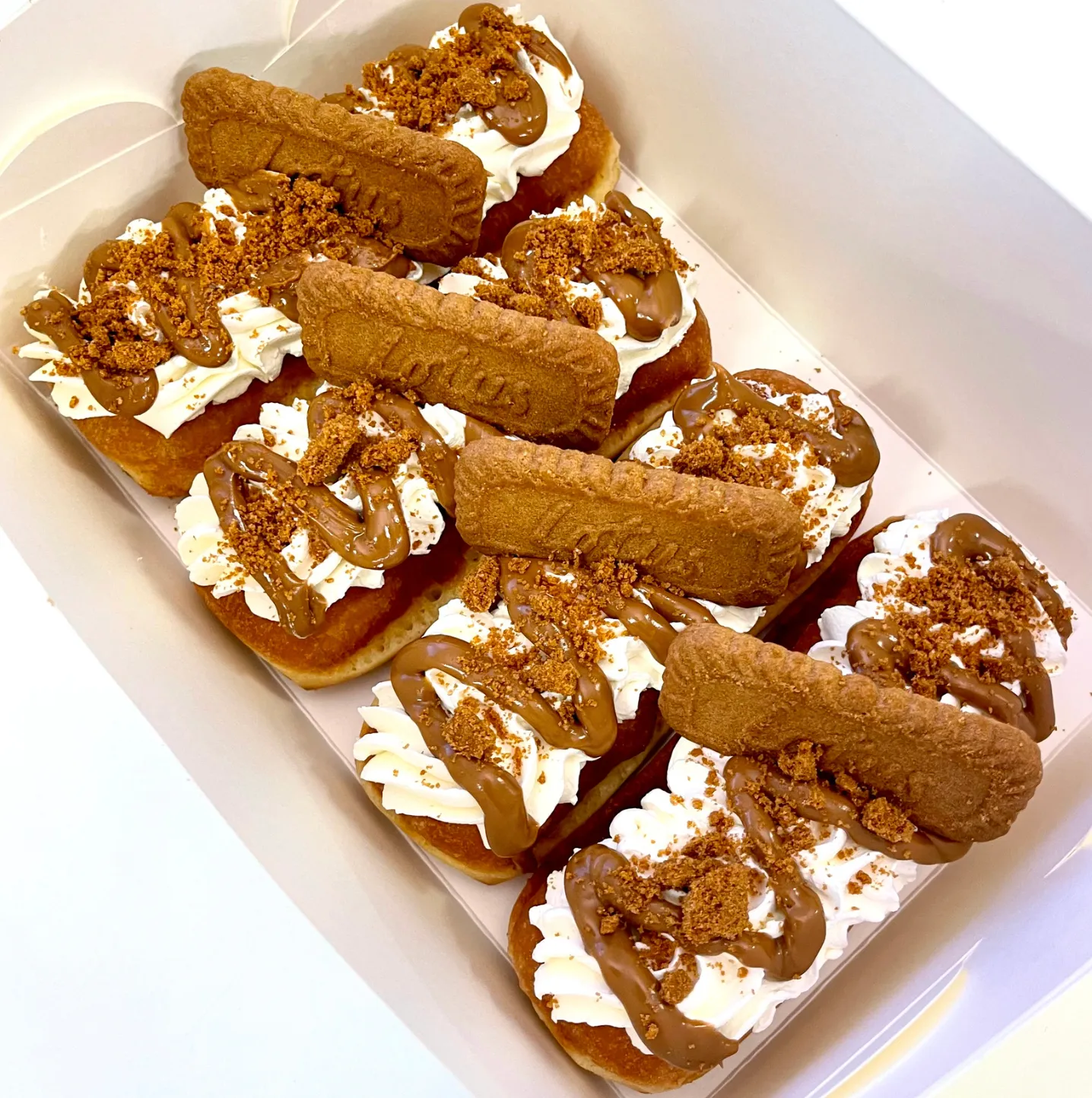 5 Pack Biscoff Long Johns