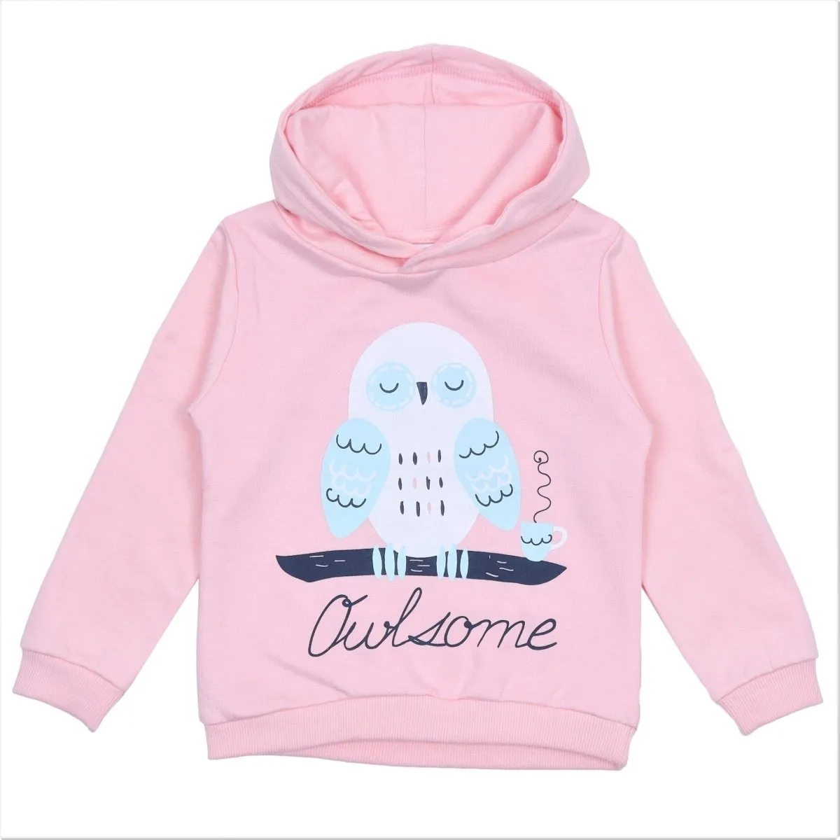 Owlsome Hooded Sweatshirt and Navy Blue Sweatpants Combo