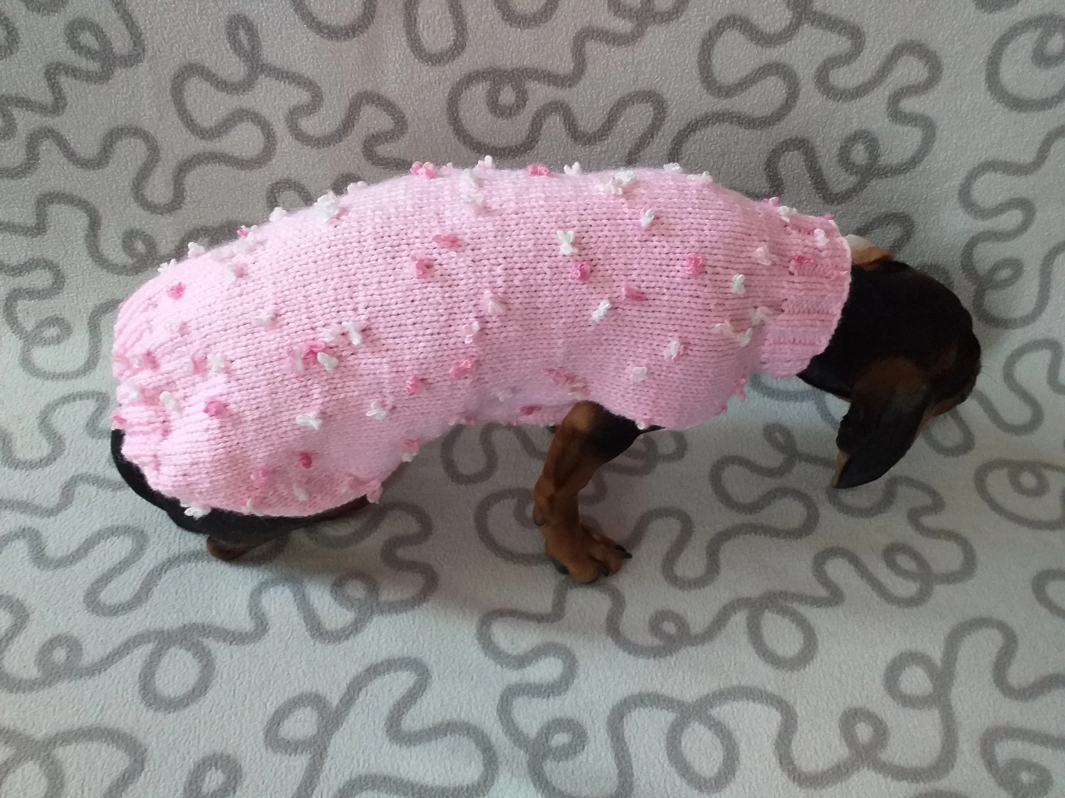 Pink sweater with flowers for a mini dachshund,Sweater with flowers and butterflies for miniature dachshund or small dog