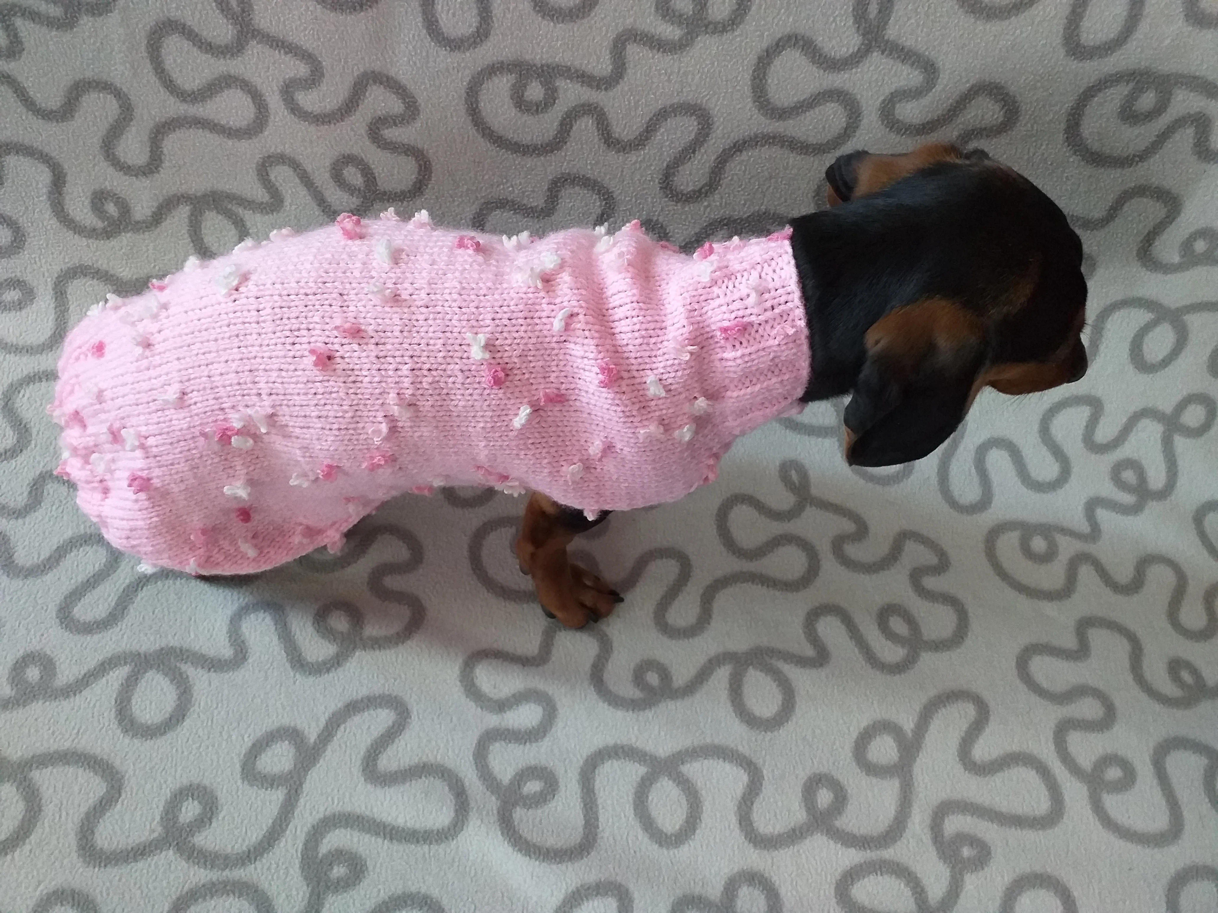 Pink sweater with flowers for a mini dachshund,Sweater with flowers and butterflies for miniature dachshund or small dog