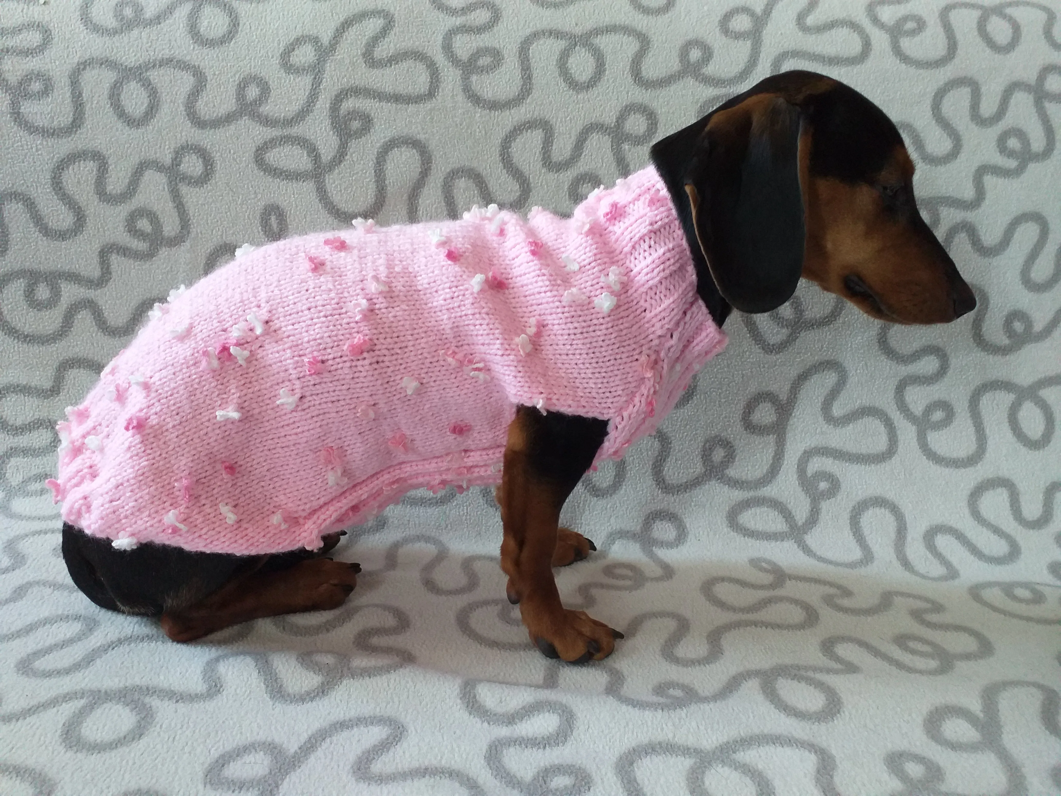 Pink sweater with flowers for a mini dachshund,Sweater with flowers and butterflies for miniature dachshund or small dog