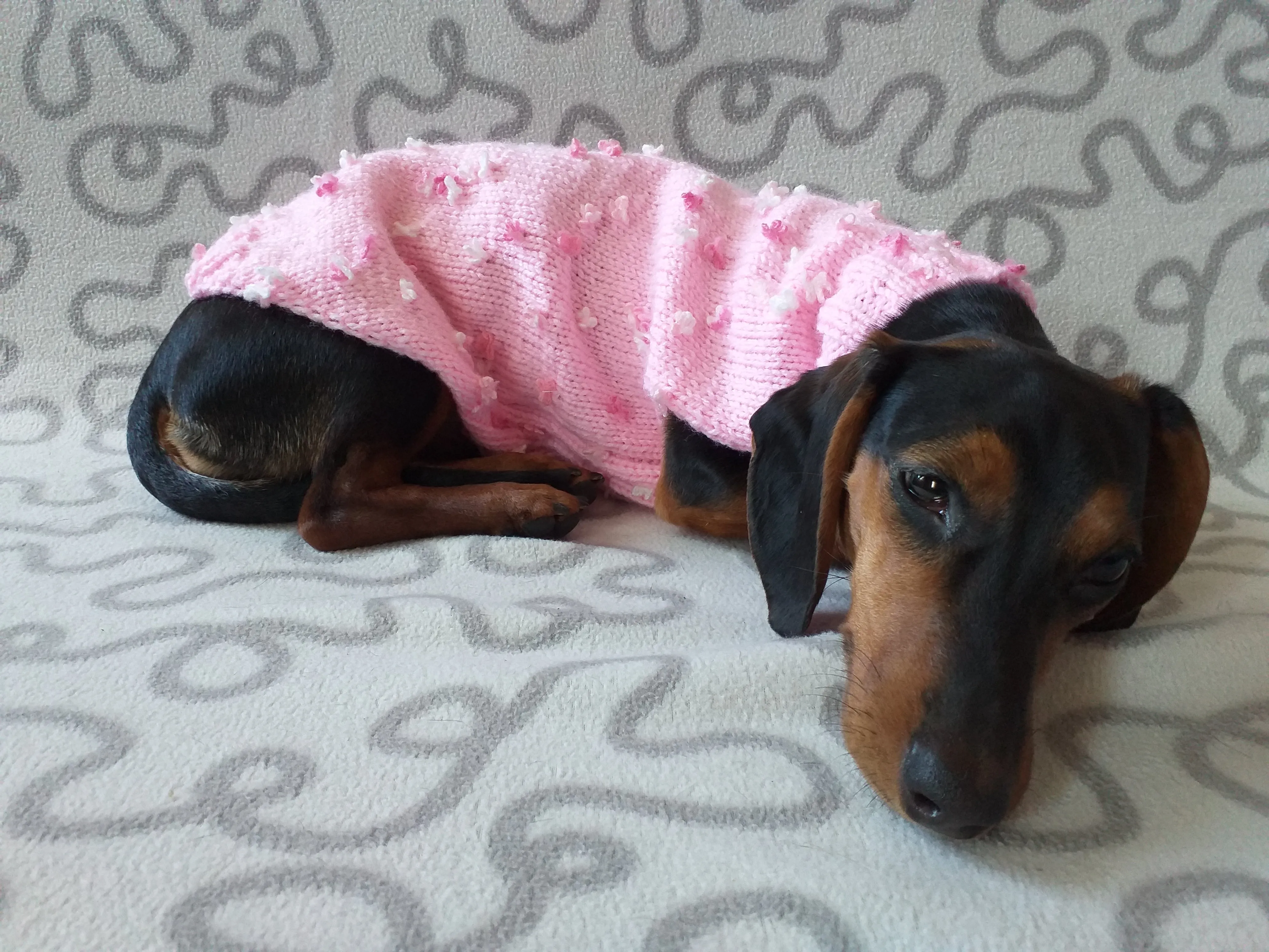 Pink sweater with flowers for a mini dachshund,Sweater with flowers and butterflies for miniature dachshund or small dog