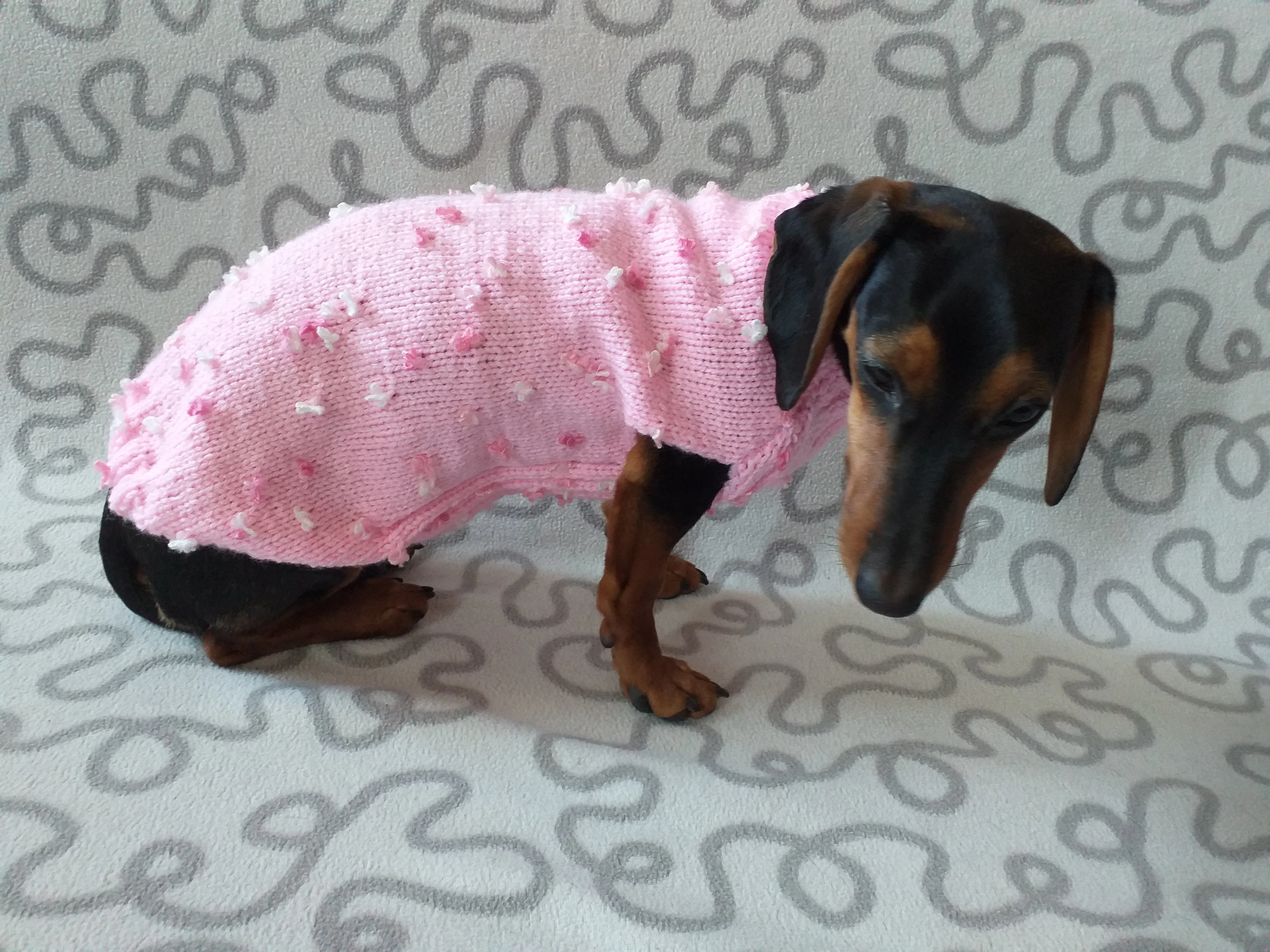 Pink sweater with flowers for a mini dachshund,Sweater with flowers and butterflies for miniature dachshund or small dog